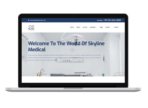 Skyline Medical